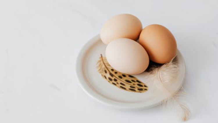 6 ประโยชน์มหัศจรรย์ของไข่ขาว ที่ผู้ป่วยโรคไตต้องรู้